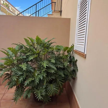 Jardin Del Atlantico Apartamento Puerto de Santiago (Tenerife)